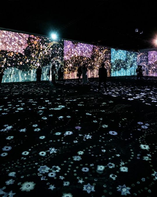 Klimt Experience, Milan