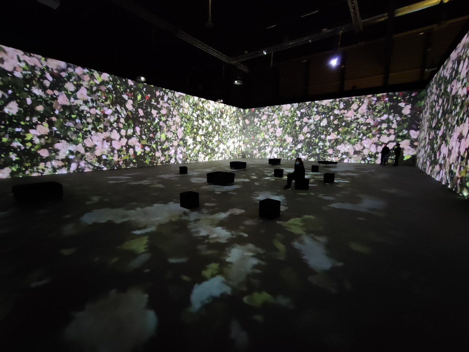 Monet Experience, immersive exhibition in Messe Luzern