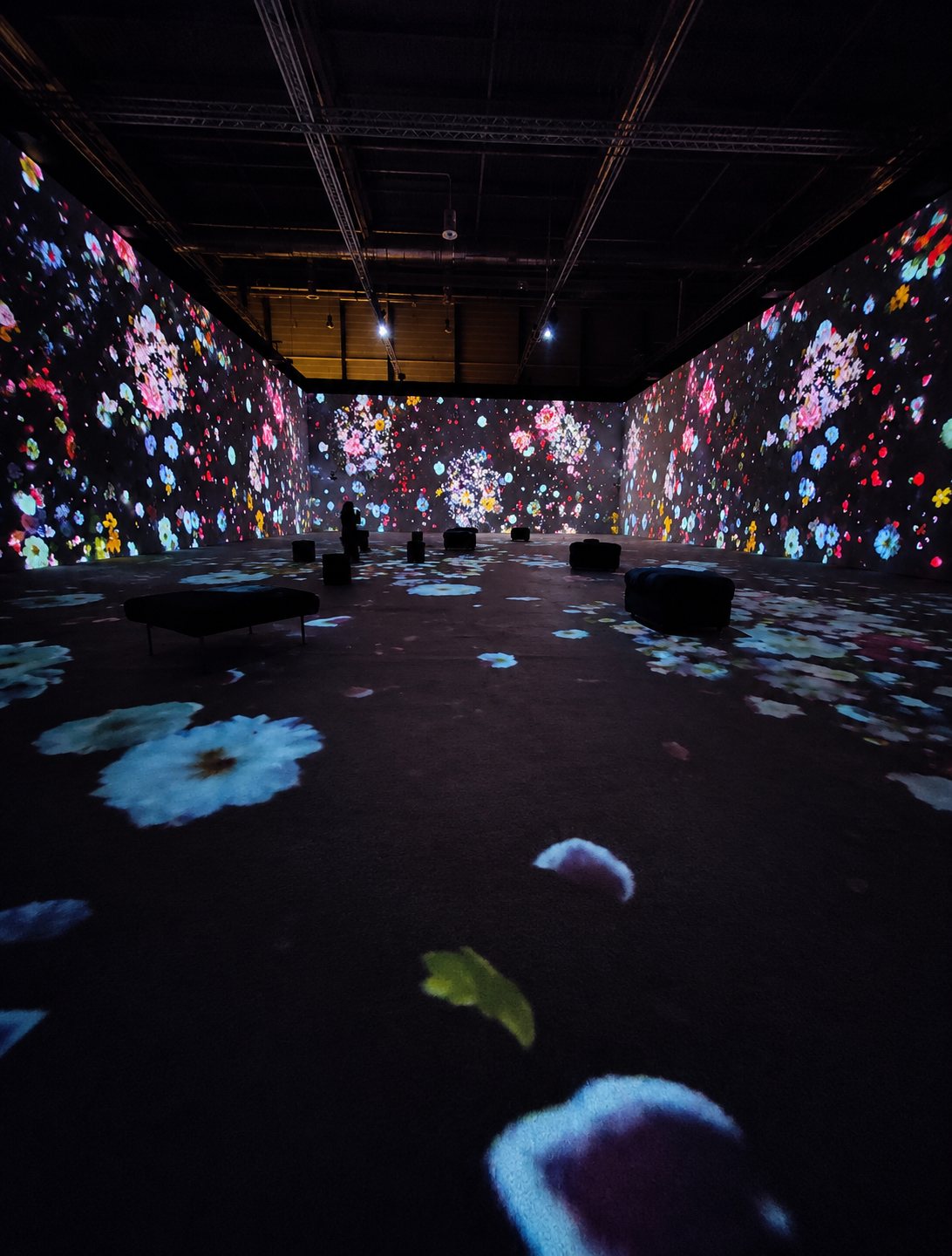 Monet Experience, immersive exhibition in Messe Luzern