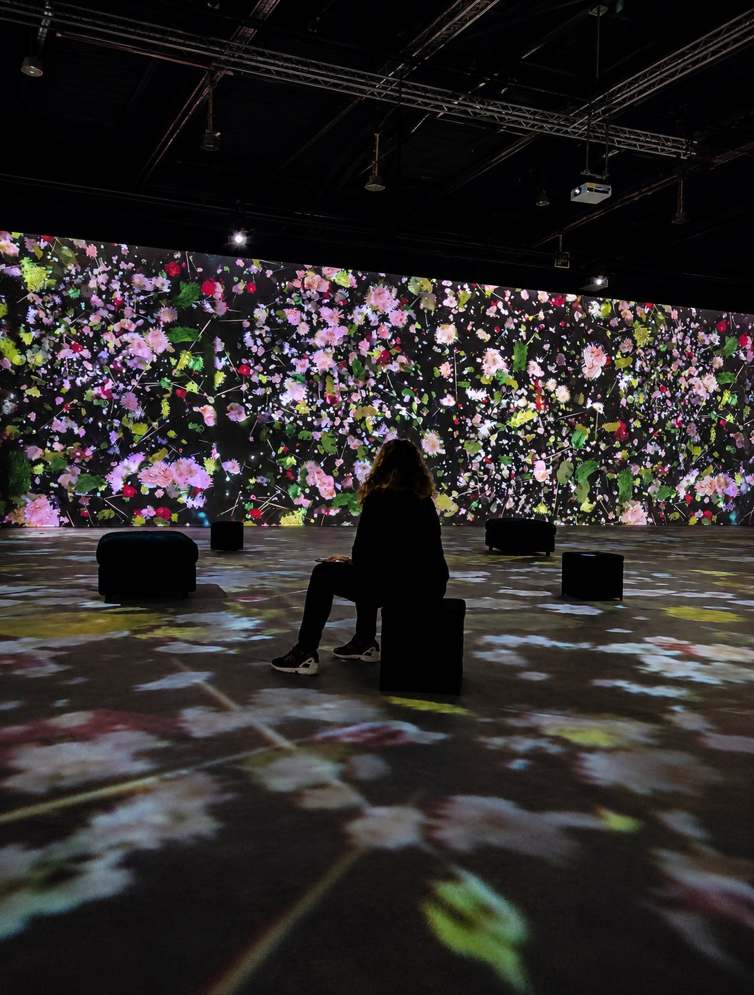 Monet Experience, immersive exhibition in Messe Luzern